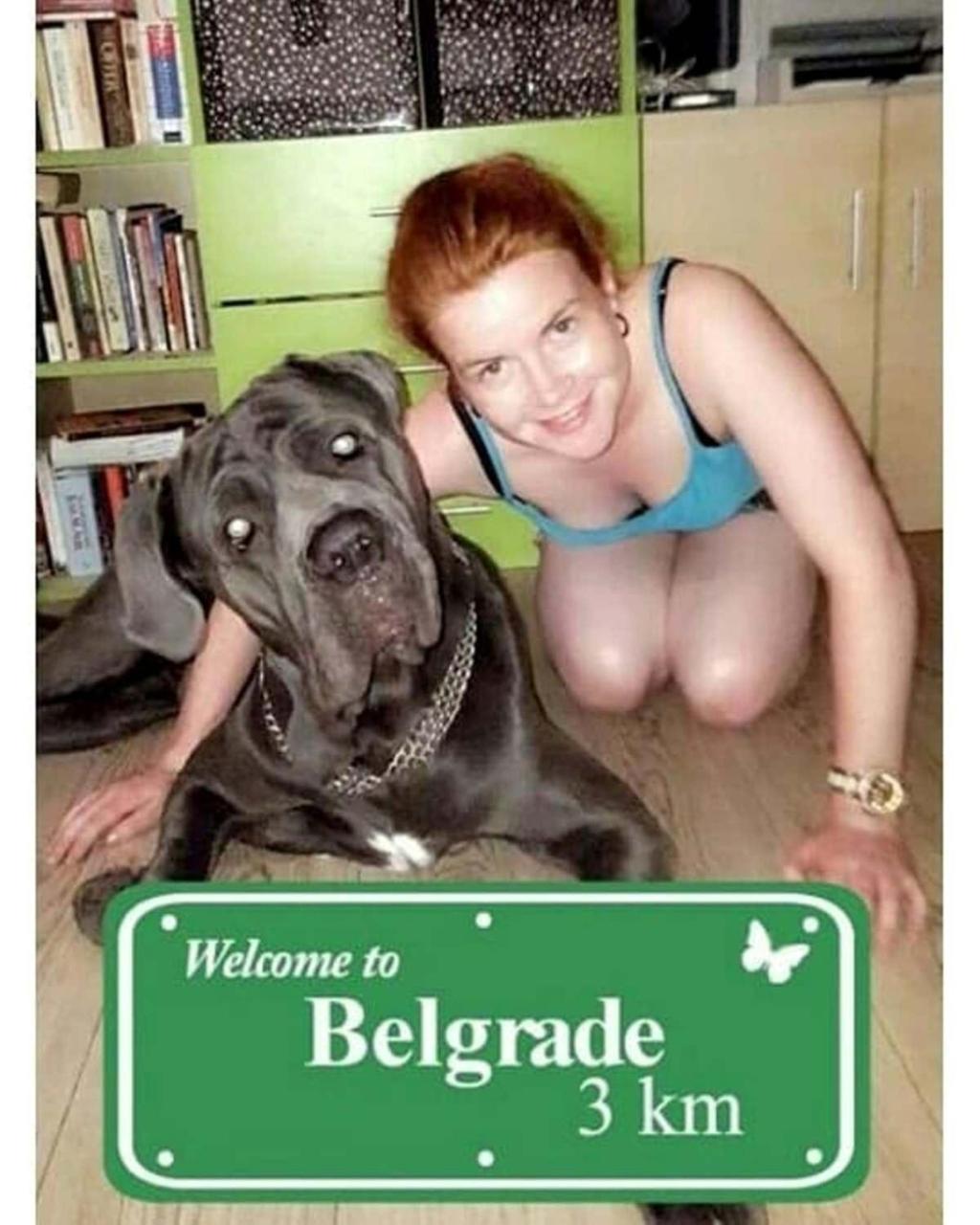 Habitat Hostel Belgrad Exteriör bild